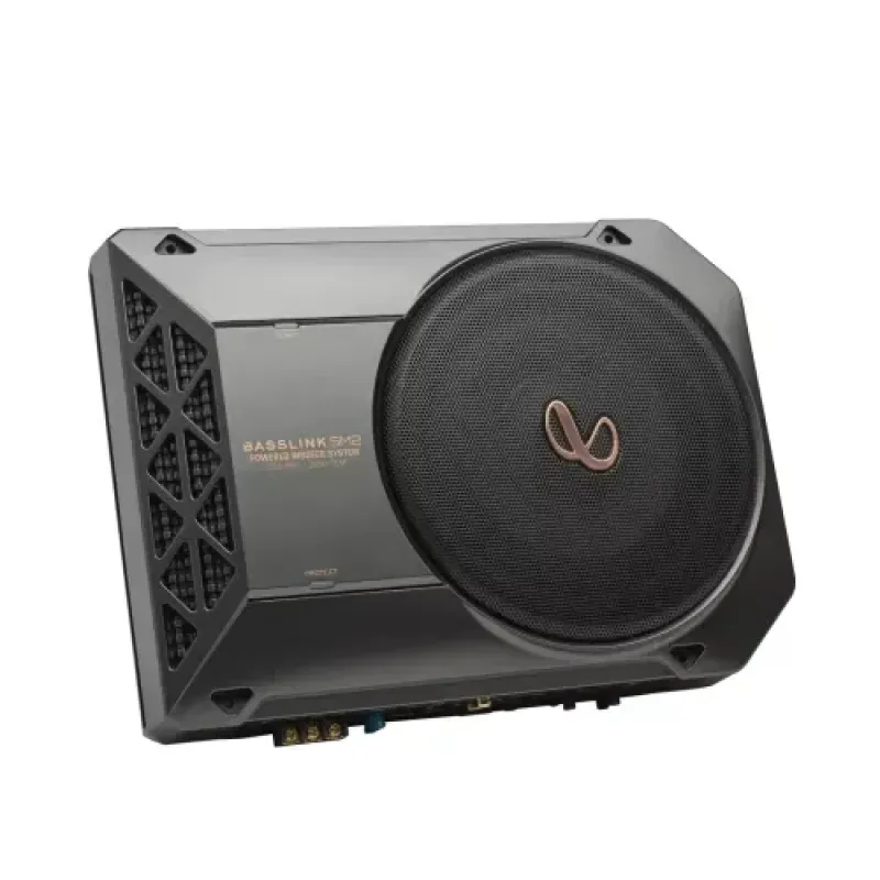 Infinity BassLink SM2